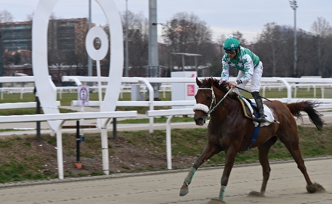 Ippica Ippodromo Snai San Siro Gran Premio Cavalli Sport Wide Sea