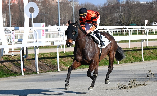 Ippica Ippodromo Snai San Siro handicap classe 4 mercoledì Lucid Setteffe