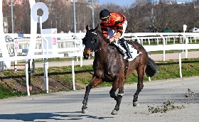 Ippica Ippodromo Snai San Siro handicap classe 4 mercoledì Lucid Setteffe