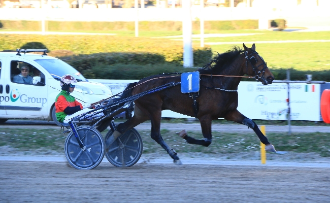 Ippica Ippodromo Bologna assolo Instinct Grif Premio Carnevale Arcoveggio