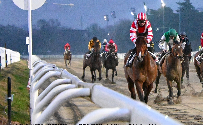 Ippica Ippodromo Snai San Siro: Premio Campanologist e Premio Schiapparelli nel mercoledì di galoppo
