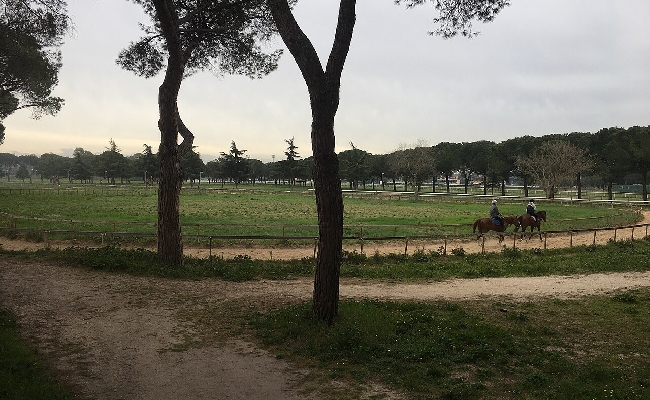 Ippodromi italiani dalla folla degli anni ’90 alla sfida della sopravvivenza tra chiusure e degrado (1)