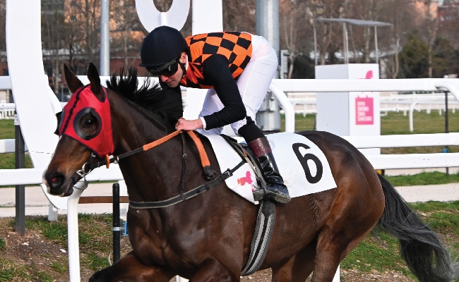 Ippica Ippodromo Snai San Siro: nel mercoledì di galoppo vittorie per Kahu e Tatooine 