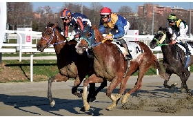 Ippica il sabato di galoppo all'Ippodromo Snai San Siro premia la tenacia di Bridge Ashi Kun e My Little Niece