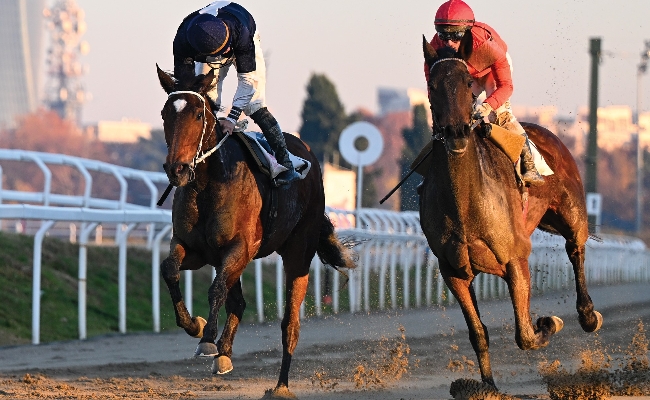 mercoledì all’ippodromo snai san siro ultima uscita di febbraio con le corse al galoppo. a marzo calendario con quattro giornate e dal 18 si torna sulla pista in erba