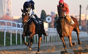 mercoledì all’ippodromo snai san siro ultima uscita di febbraio con le corse al galoppo. a marzo calendario con quattro giornate e dal 18 si torna sulla pista in erba