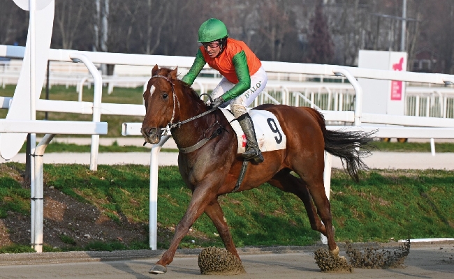 Ippica Ippodromo Snai San Siro: nel mercoledì di galoppo Almone vince il Premio Dupre e Osimhen il Premio Donjah