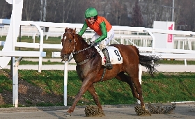 Ippica Ippodromo Snai San Siro: nel mercoledì di galoppo Almone vince il Premio Dupre e Osimhen il Premio Donjah