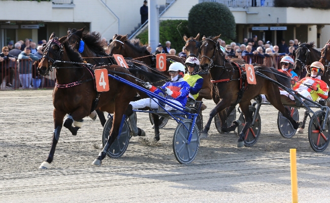 Ippica Ippodromo di Bologna: domenica 1° marzo clou per ottimi tre anni e altre sette corse a partire dalle 14:45