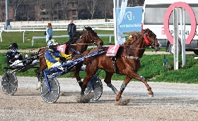 Ippica Ippodromo Snai San Siro: il sabato di trotto premia Isengar Wise as