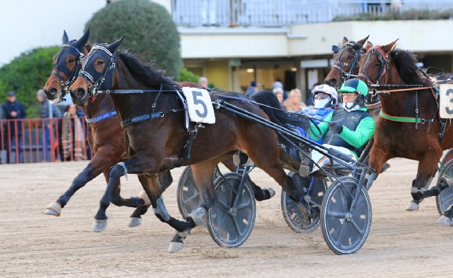 Ippica Ippodromo Arcoveggio Bologna Iringo Dei Rum vince Premio Detosco