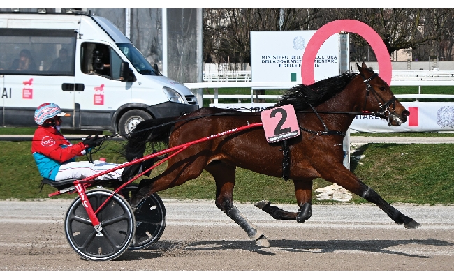 Ippica Ippodromo Snai San Siro: nel sabato di trotto Funky Roc vince il Premio Orlando Zamboni