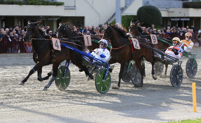 Ippodromo di Bologna: giovedì 12 marzo dalle 15:18 otto corse di qualità. TQQ in chiusura con quindici partecipanti sul doppio km