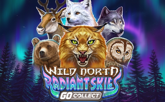 Play'n Go slot Wild North Radiant Skies GO Collect