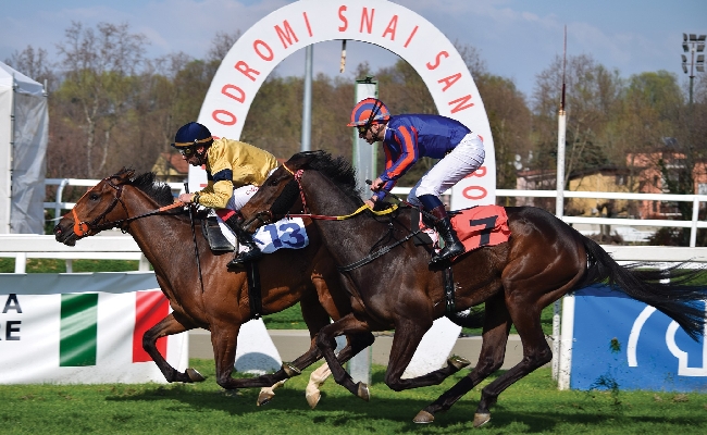 Ippica Ippodromo Snai San Siro: alla prima stagionale sulla pista in erba nel mercoledì di galoppo brillano Keytar Castrillo e Sioux Life