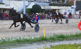Ippica Ippodromo di Bologna: resoconto delle corse di giovedì 19 marzo 2026