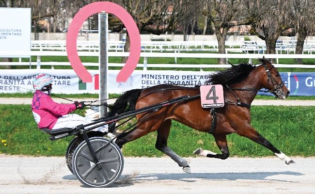 Ippica le batterie del Derby 4 anni e la prima delle ‘Giornate Fai di Primavera’ esaltano il sabato di trotto all’Ippodromo Snai San Siro