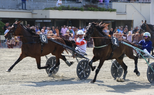 Ippica Ippodromo Arcoveggio Bologna: domenica 29 marzo in programma il Gran Premio d'Italia
