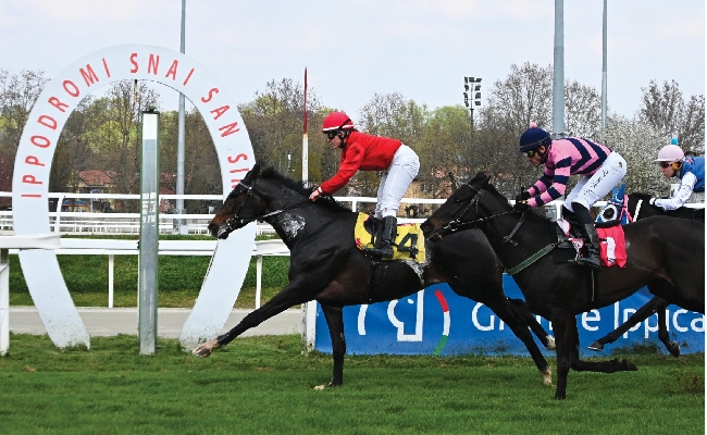 Ippica all'Ippodromo Snai San Siro un altro bel mercoledì di galoppo in cui Anthaia si conferma rodata e vincente