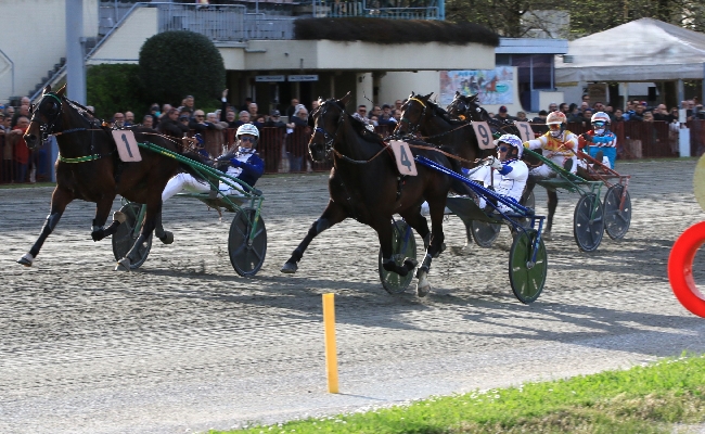 Ippica Ippodromo Arcoveggio: domenica 29 marzo il Gran Premio Italia sfida tra i migliori tre anni