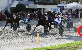 Ippica Ippodromo Arcoveggio: domenica 29 marzo il Gran Premio Italia sfida tra i migliori tre anni