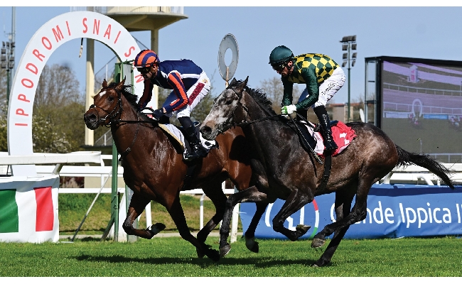 Ippica all'Ippodromo Snai San Siro nell'ultima di marzo di galoppo Alburno fa il bis nel Premio Fabrav