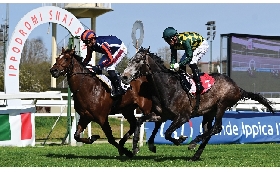 Ippica all'Ippodromo Snai San Siro nell'ultima di marzo di galoppo Alburno fa il bis nel Premio Fabrav