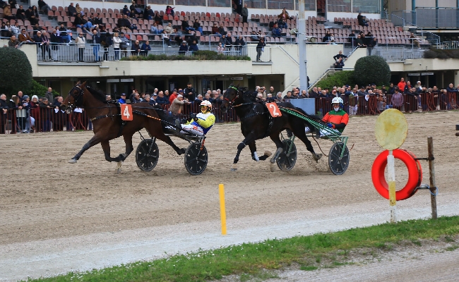 Ippica Ippodromo Arcoveggio di Bologna: Ideal Turdance vince l'Italia maschi e segna il record della generazione
