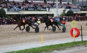 Ippica Ippodromo Arcoveggio di Bologna: Ideal Turdance vince l'Italia maschi e segna il record della generazione