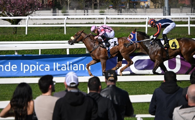 Ippica Ippodromo Snai Siro: il 1° aprile le corse di galoppo valide per la 18^ giornata