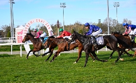 Ippica Ippodromo Snai San Siro mercoledì galoppo Alto Gradimento Premio Finali Giugno