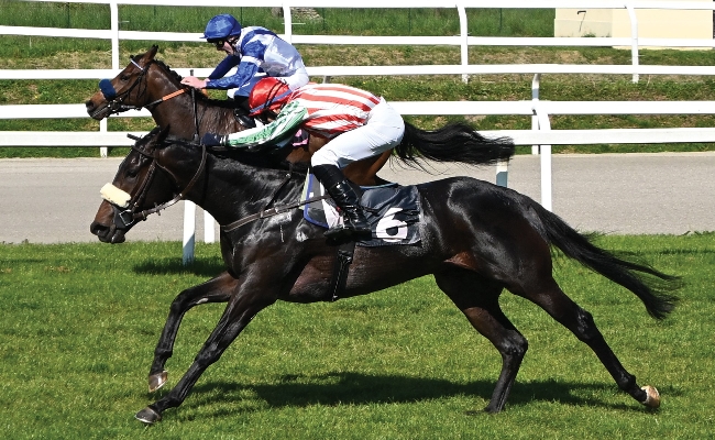 Ippica Ippodromo Snai San Siro galoppo Grand Son of Dark Premio Gardone Kebrilla Seregno