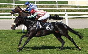 Ippica Ippodromo Snai San Siro galoppo Grand Son of Dark Premio Gardone Kebrilla Seregno