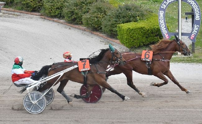 Ippica Ippodromo Snai Sesana domenica trotto spettacolo corse animazione bambini