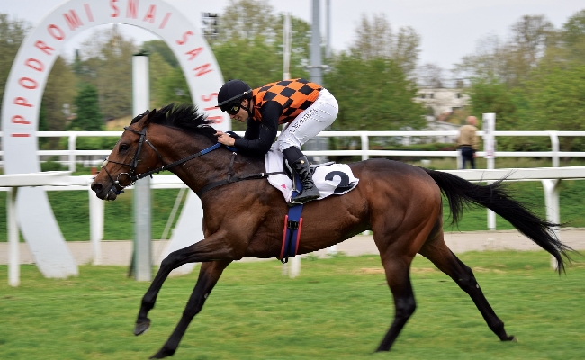Ippica Ippodromo Snai San Siro galoppo Flag of Fear Cloridano Premio Guido Clerici Bruxelles