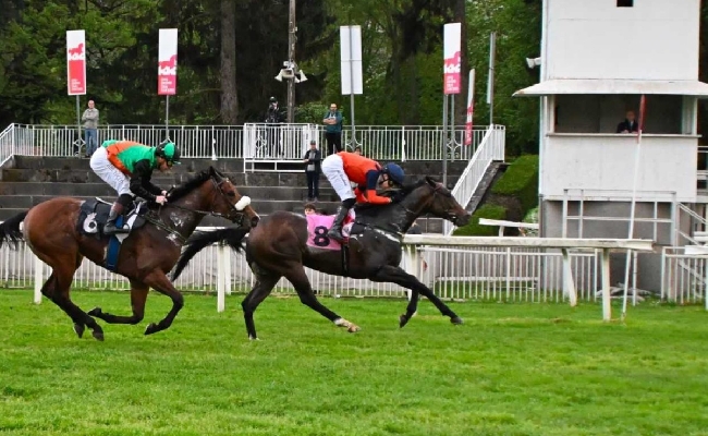 Ippica Ippodromo Snai San Siro: nell’infrasettimanale di galoppo Lobster vince il Premio Giambattista Gnutti mentre Black Magma si impone nel San Siro Sprint 