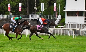 Ippica Ippodromo Snai San Siro: nell’infrasettimanale di galoppo Lobster vince il Premio Giambattista Gnutti mentre Black Magma si impone nel San Siro Sprint 
