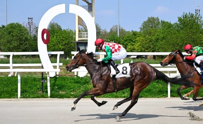 Ippica sabato di galoppo all’Ippodromo Snai San Siro: Madram si aggiudica la listed ‘accorciata’ per il Premio Circo Massimo