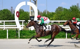 Ippica sabato di galoppo all’Ippodromo Snai San Siro: Madram si aggiudica la listed ‘accorciata’ per il Premio Circo Massimo