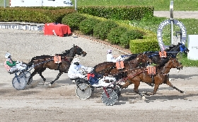 Ippica Ippodromo Snai Sesana: nella domenica di trotto Giotto dell'Est vince la prova dedicata all'associazione '365 giorni al femminile'