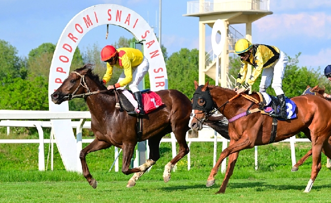 Ippica Ippodromo Snai San Siro galoppo Calzolaia vince Premio Piazzale Lotto