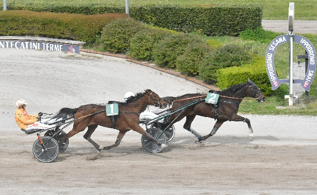 all’ippodromo snai sesana lunedì di trotto con la prima tqq stagionale nella 4^ giornata ed ultima di aprile. in pista sette corse a partire dalle ore 15:30