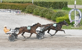 all’ippodromo snai sesana lunedì di trotto con la prima tqq stagionale nella 4^ giornata ed ultima di aprile. in pista sette corse a partire dalle ore 15:30