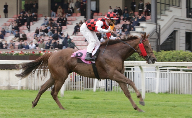 Ippica Ippodromo Snai San Siro: domenica di galoppo con il Premio Certosa e lo Zanoletti