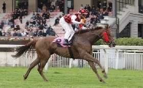 Ippica Ippodromo Snai San Siro: domenica di galoppo con il Premio Certosa e lo Zanoletti