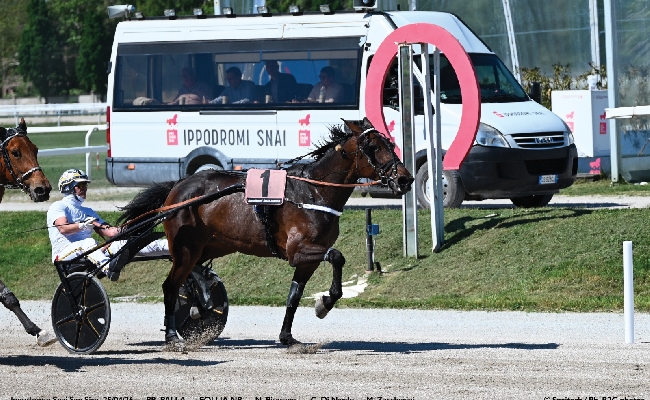Ippica Ippodromo Snai San Siro: Dauphin Joyeuse vince il Gran Premio Ettore e Mario Barbetta nel sabato di trotto