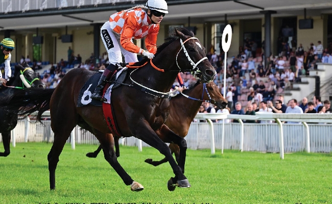 Ippica Ippodromo Snai San Siro: nella super domenica di galoppo il vecchio Ponntos vince la listed per il Premio Certosa
