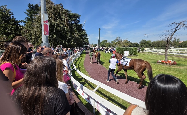  il premio lampugnano e il premio poncia con protagonisti i cavalli di 2 anni nel mercoledì di galoppo all’ippodromo snai san siro
