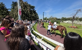  il premio lampugnano e il premio poncia con protagonisti i cavalli di 2 anni nel mercoledì di galoppo all’ippodromo snai san siro