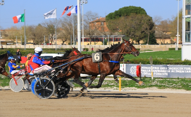 Ippica Ippodromo Arcoveggio di Bologna: 1° maggio alle corse dalle 15:08 buoni spunti tecnici e clou per free for all al termine